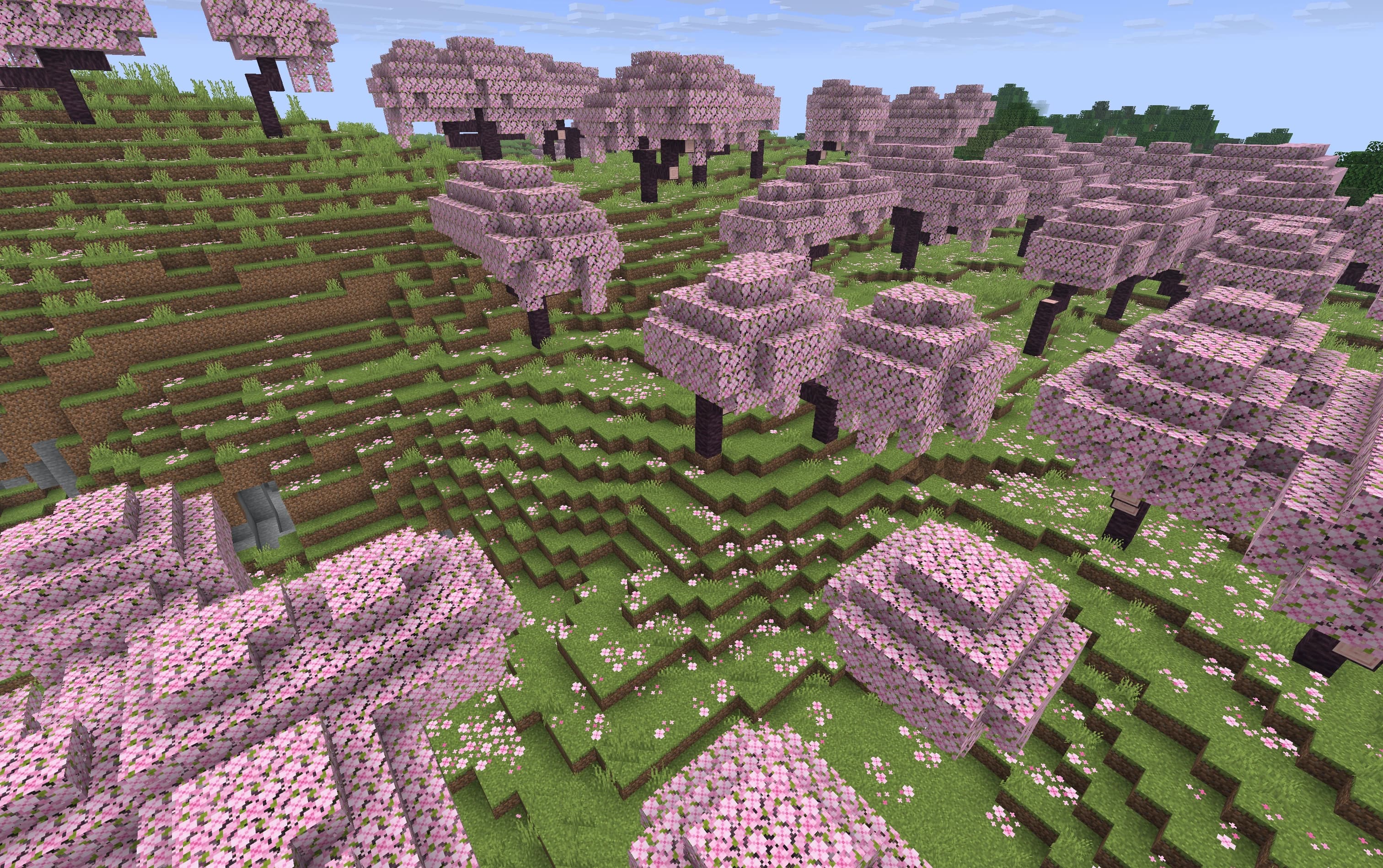 A sunlit cherry grove in Minecraft, with pink blossoms and room for a new beginning